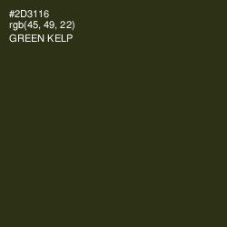 #2D3116 - Green Kelp Color Image